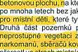 větší obrázek: Popis stavu zahradnictví ve verzi projektu, který jsme v roce 2010 získali (radnice ho tajila 3 roky). Popis je poněkud zavádějící: hovoří se o obrovských plochách betonu a většinové stávající plochy zeleně jsou zmíněny pouze jako "neprostupná vegetace" a ani doprovodné fotografie zeleň nezobrazují. (Komín je v současné době již stržen)